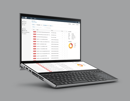 Enhancing Information Security with Intrusion Testing and Secure Code Standards